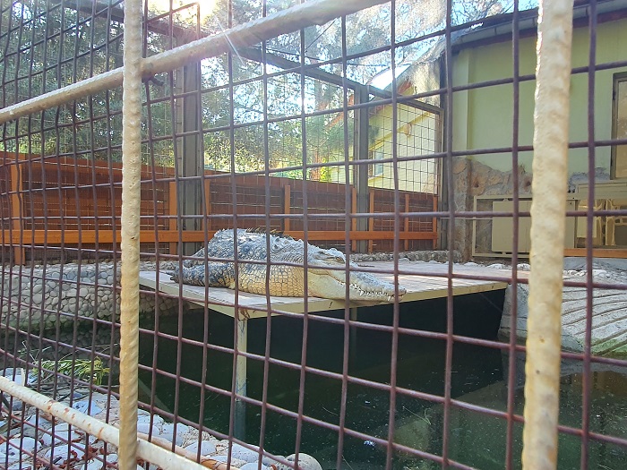 Antalya Zoo Unterteilungen und Tierarten