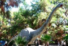 Der Dinosaurier Park Dino Park in Antalya für Kinder