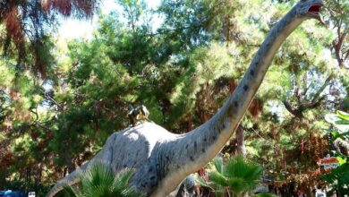 Der Dinosaurier Park Dino Park in Antalya für Kinder