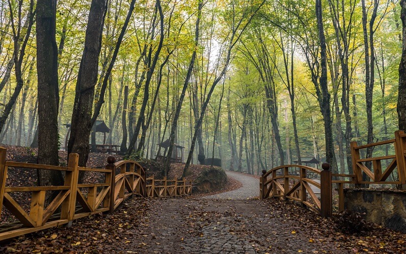 Belgrader Wald (Belgrad Ormanı)